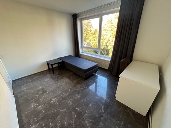 Marshallsingel 23023.JPG